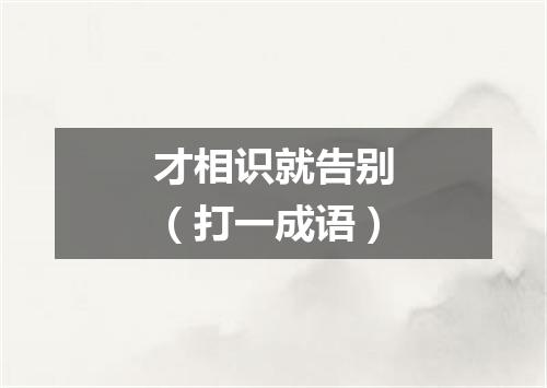 才相识就告别（打一成语）