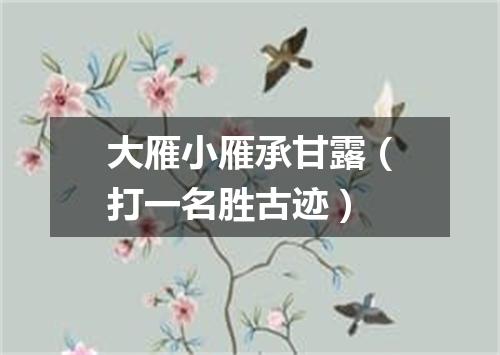 大雁小雁承甘露（打一名胜古迹）