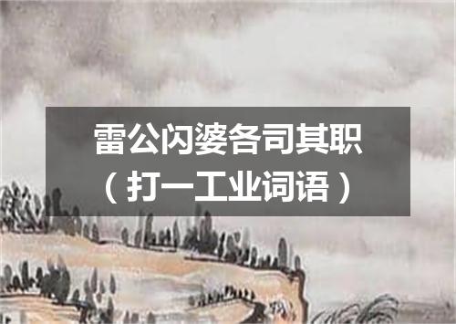 雷公闪婆各司其职（打一工业词语）
