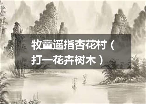 牧童遥指杏花村（打一花卉树木）