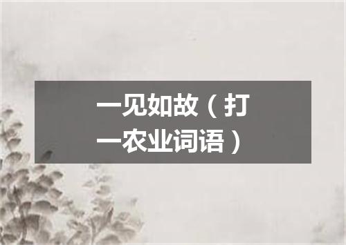 一见如故（打一农业词语）