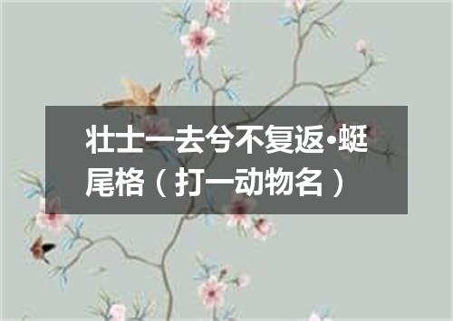 壮士一去兮不复返·蜓尾格（打一动物名）
