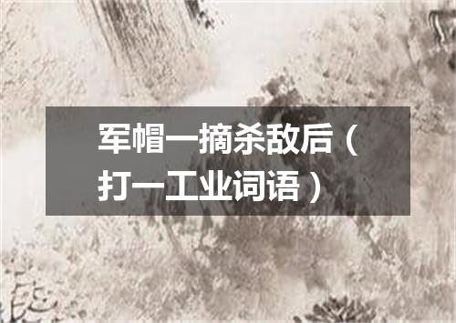 军帽一摘杀敌后（打一工业词语）