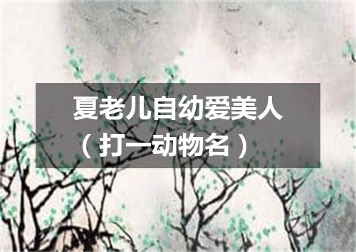 夏老儿自幼爱美人（打一动物名）