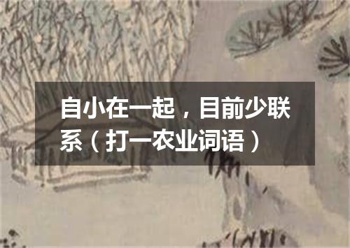 自小在一起，目前少联系（打一农业词语）