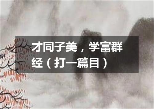 才同子美，学富群经（打一篇目）