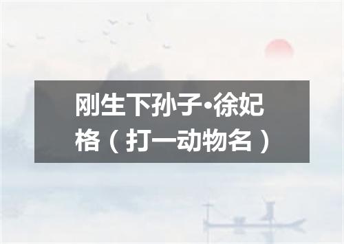 刚生下孙子·徐妃格（打一动物名）