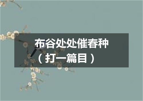 布谷处处催春种（打一篇目）