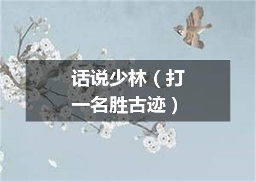 话说少林（打一名胜古迹）