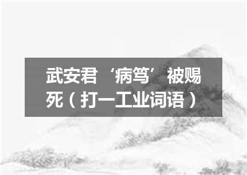 武安君‘病笃’被赐死（打一工业词语）
