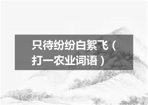只待纷纷白絮飞（打一农业词语）