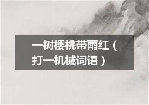 一树樱桃带雨红（打一机械词语）