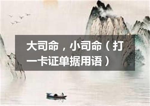 大司命，小司命（打一卡证单据用语）