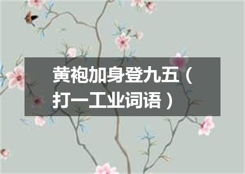黄袍加身登九五（打一工业词语）