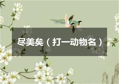 尽美矣（打一动物名）