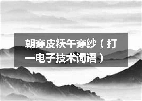 朝穿皮袄午穿纱（打一电子技术词语）