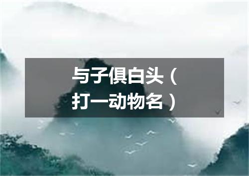 与子俱白头（打一动物名）
