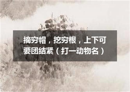摘穷帽，挖穷根，上下可要团结紧（打一动物名）