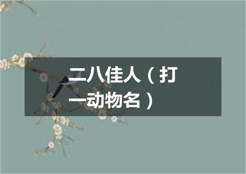 二八佳人（打一动物名）