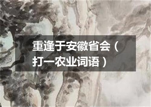 重逢于安徽省会（打一农业词语）