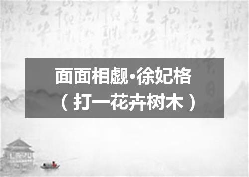 面面相觑·徐妃格（打一花卉树木）