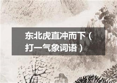 东北虎直冲而下（打一气象词语）