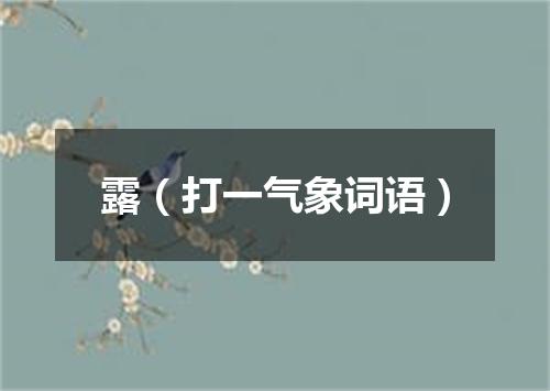 露（打一气象词语）