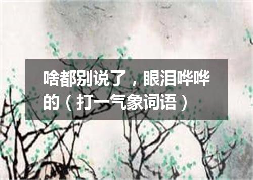 啥都别说了，眼泪哗哗的（打一气象词语）