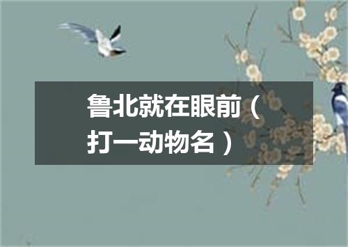 鲁北就在眼前（打一动物名）