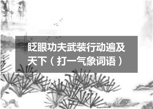 眨眼功夫武装行动遍及天下（打一气象词语）
