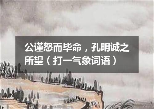 公谨怒而毕命，孔明诚之所望（打一气象词语）