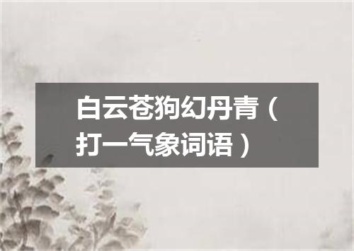 白云苍狗幻丹青（打一气象词语）