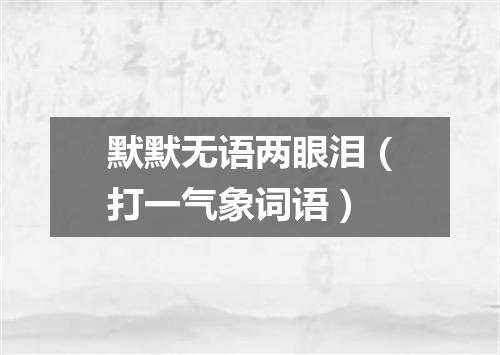 默默无语两眼泪（打一气象词语）