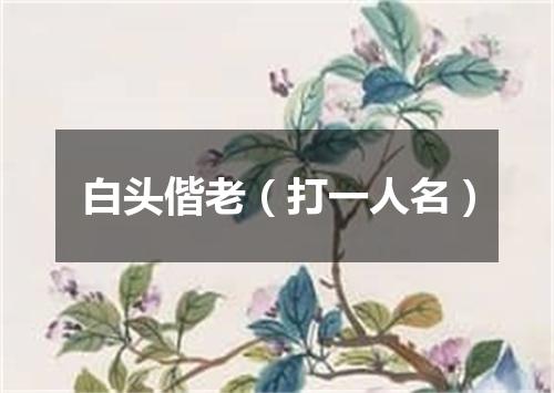 白头偕老（打一人名）