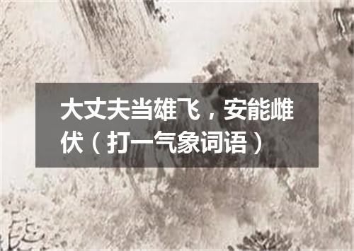大丈夫当雄飞，安能雌伏（打一气象词语）