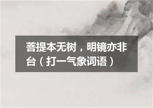 菩提本无树，明镜亦非台（打一气象词语）