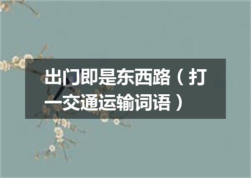 出门即是东西路（打一交通运输词语）