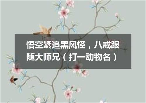 悟空紧追黑风怪，八戒跟随大师兄（打一动物名）