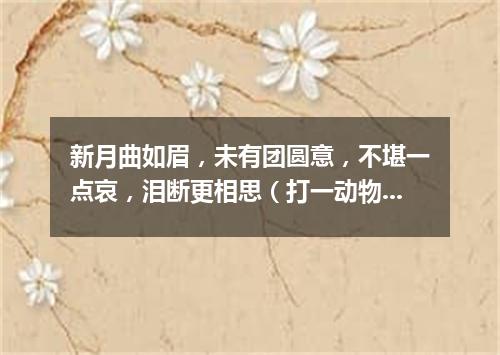 新月曲如眉，未有团圆意，不堪一点哀，泪断更相思（打一动物名）