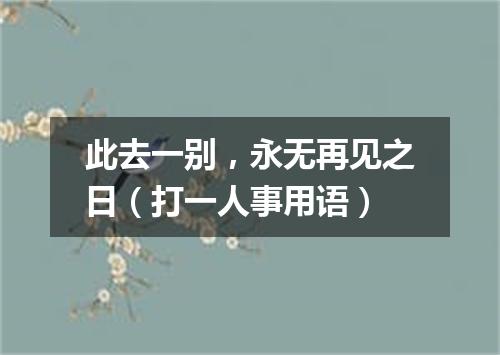此去一别，永无再见之日（打一人事用语）
