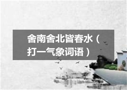 舍南舍北皆春水（打一气象词语）