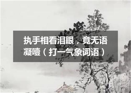 执手相看泪眼，竟无语凝噎（打一气象词语）