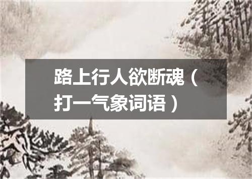 路上行人欲断魂（打一气象词语）