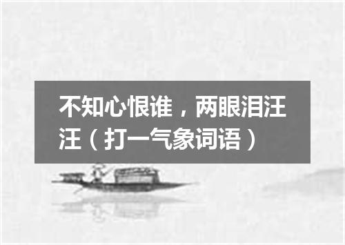 不知心恨谁，两眼泪汪汪（打一气象词语）