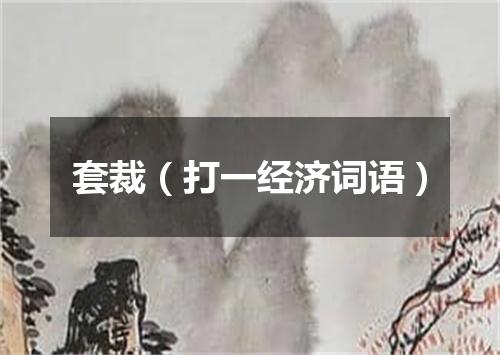 套裁（打一经济词语）