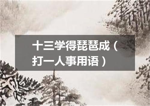 十三学得琵琶成（打一人事用语）