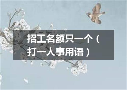 招工名额只一个（打一人事用语）