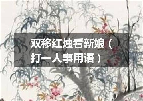 双移红烛看新娘（打一人事用语）