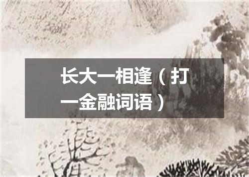 长大一相逢（打一金融词语）