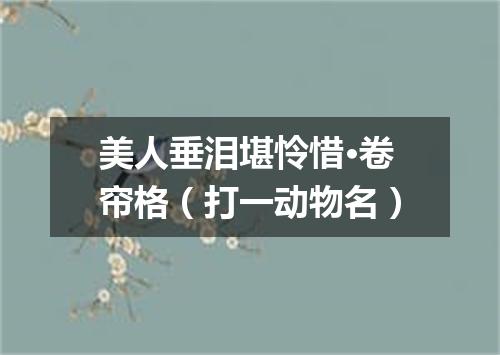 美人垂泪堪怜惜·卷帘格（打一动物名）